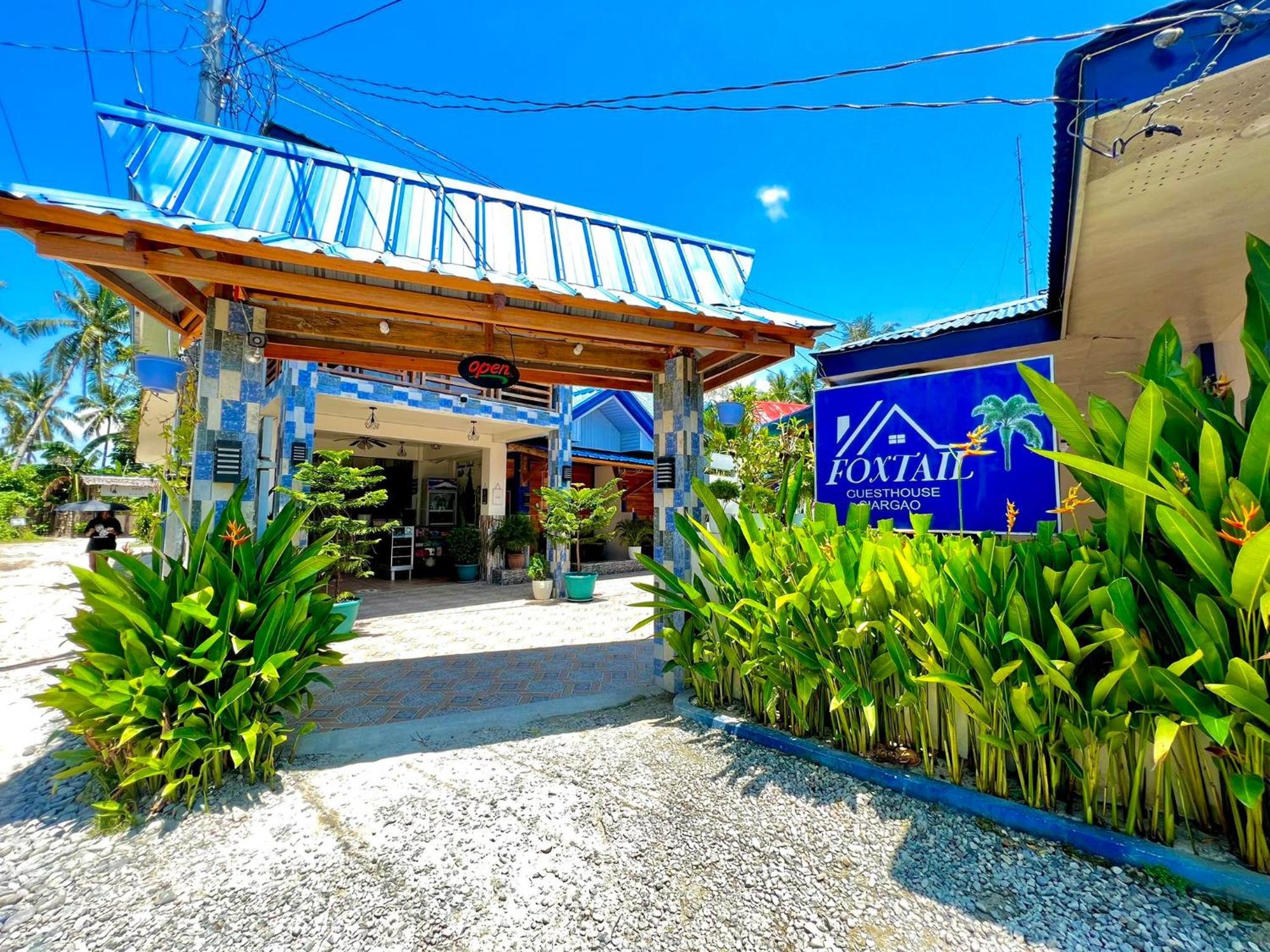Foxtail Siargao Island Guesthouse General Luna  Dış mekan fotoğraf